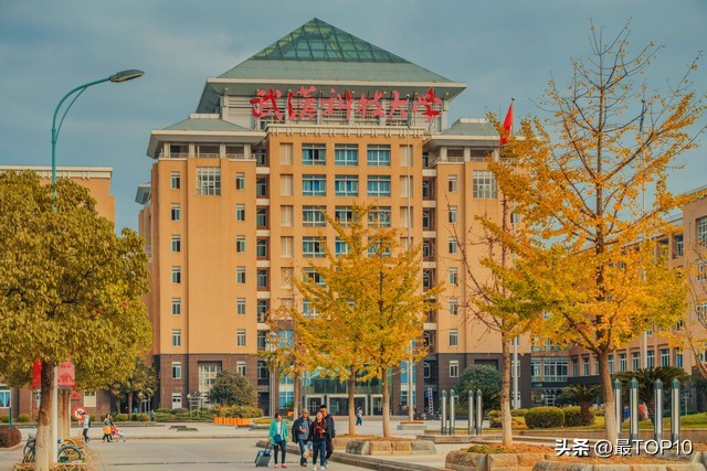 湖北省美术专业综合性大学排名,湖北最好的十所大学排名已更新