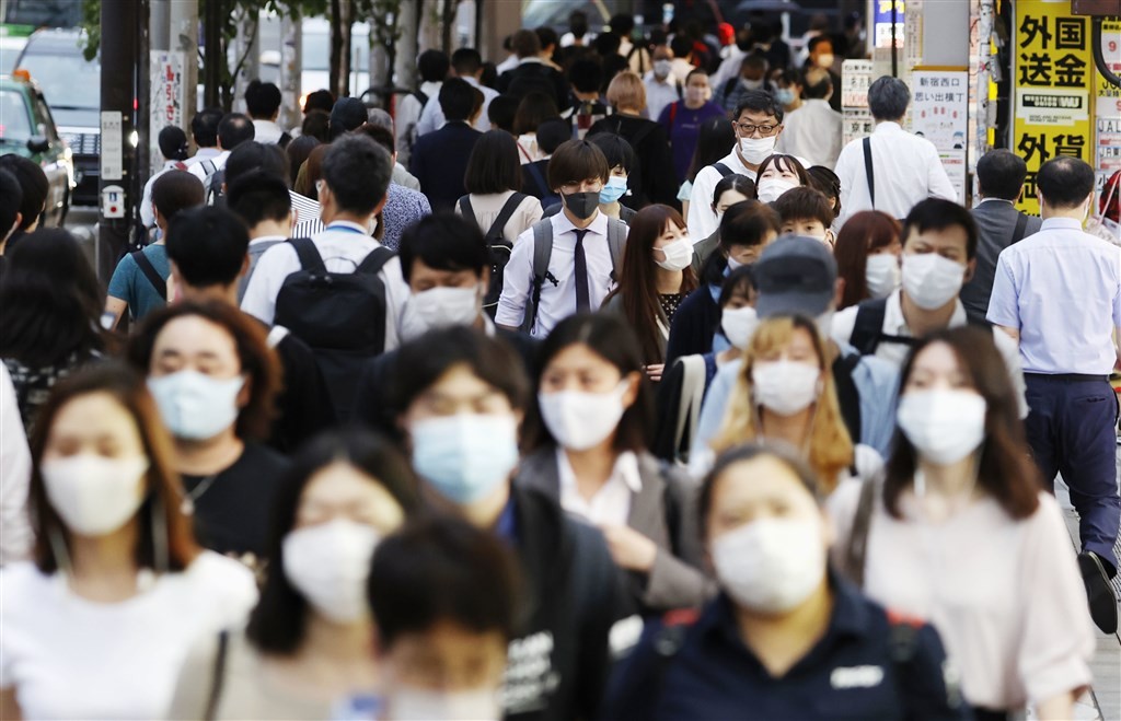 老鼠从世界上消失会发生什么,老鼠的死亡会有多可怕