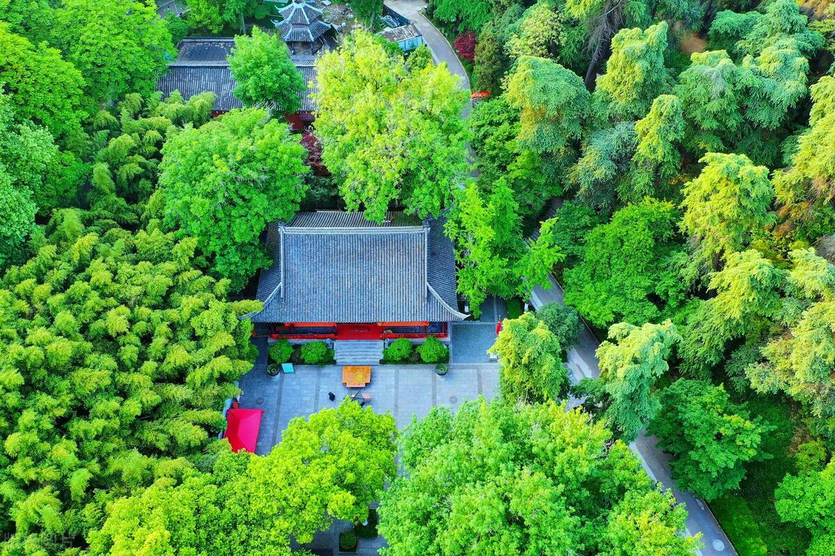 南京旅游攻略景点必去免门票,南京免费游玩景点推荐攻略