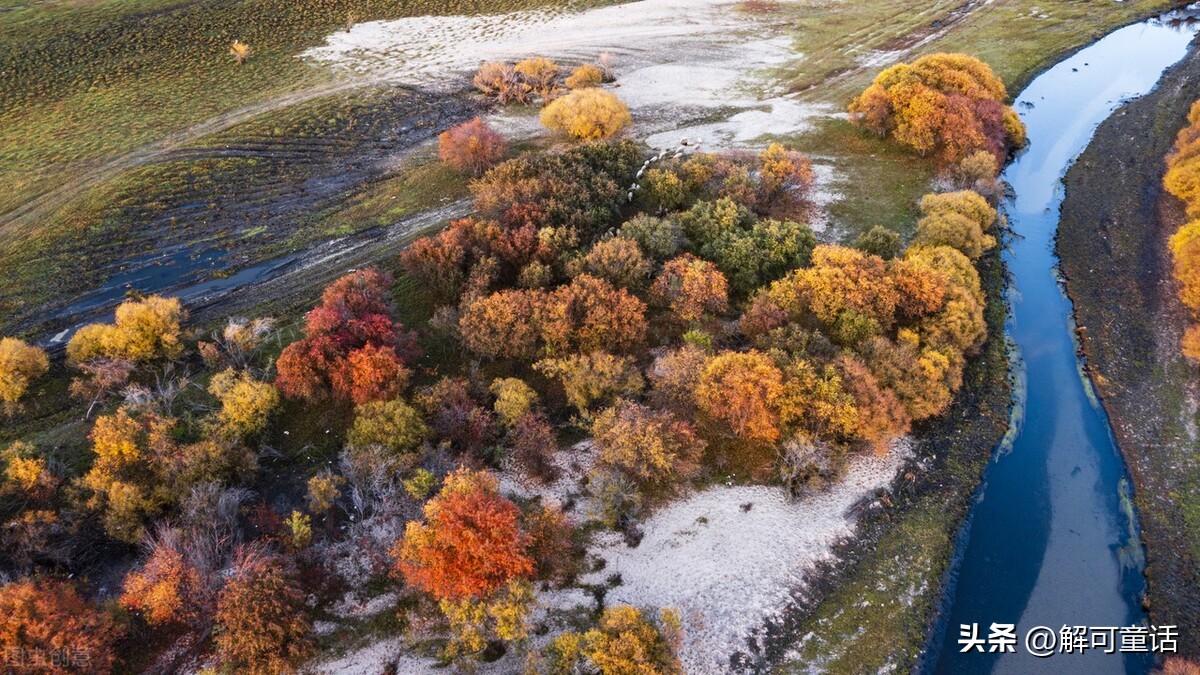 这些谜语的谜底是——（9）