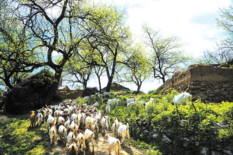 随州唐县镇现在的发展,唐县各乡镇经济实力