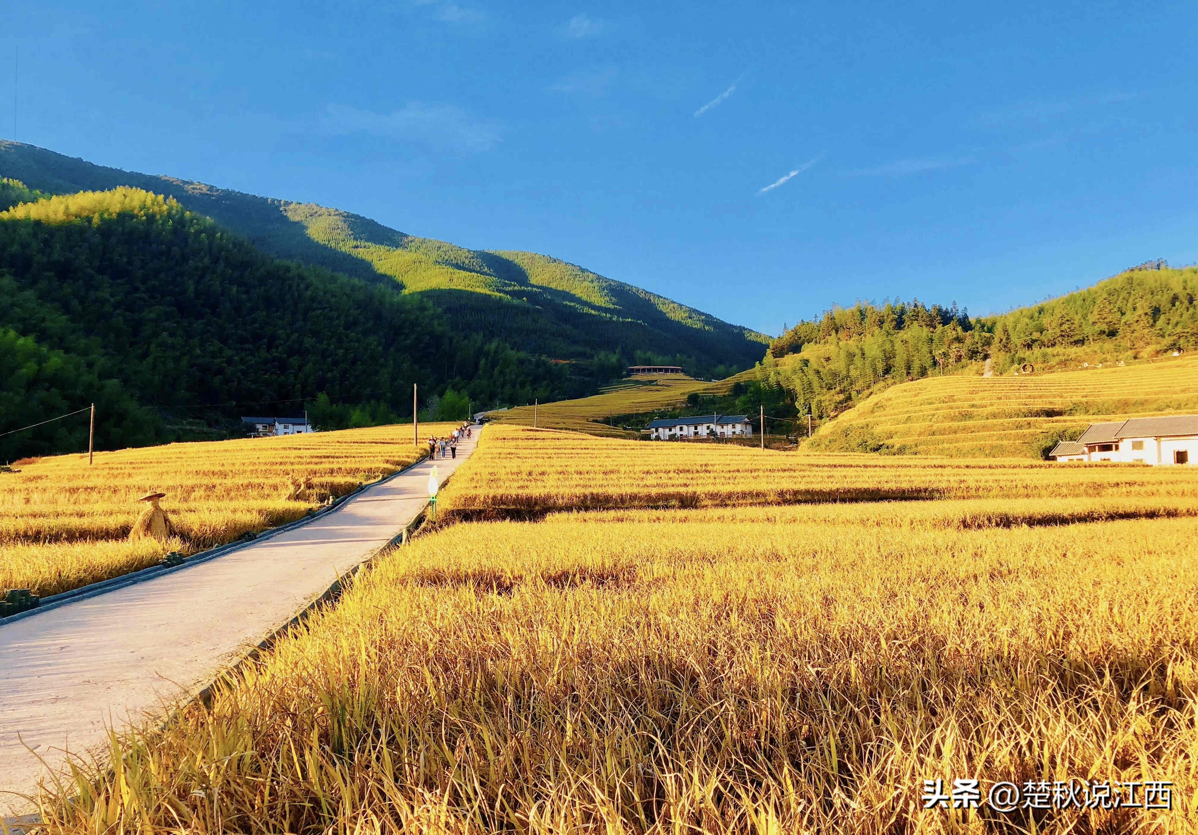江西有哪些梯田风景区,江西梯田排名前十的梯田