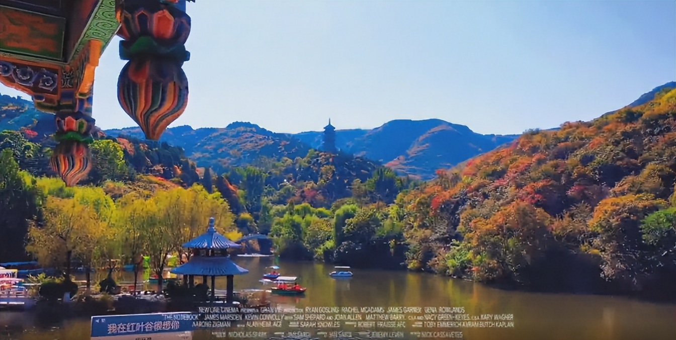 入秋济南好去处,济南秋季看花打卡地