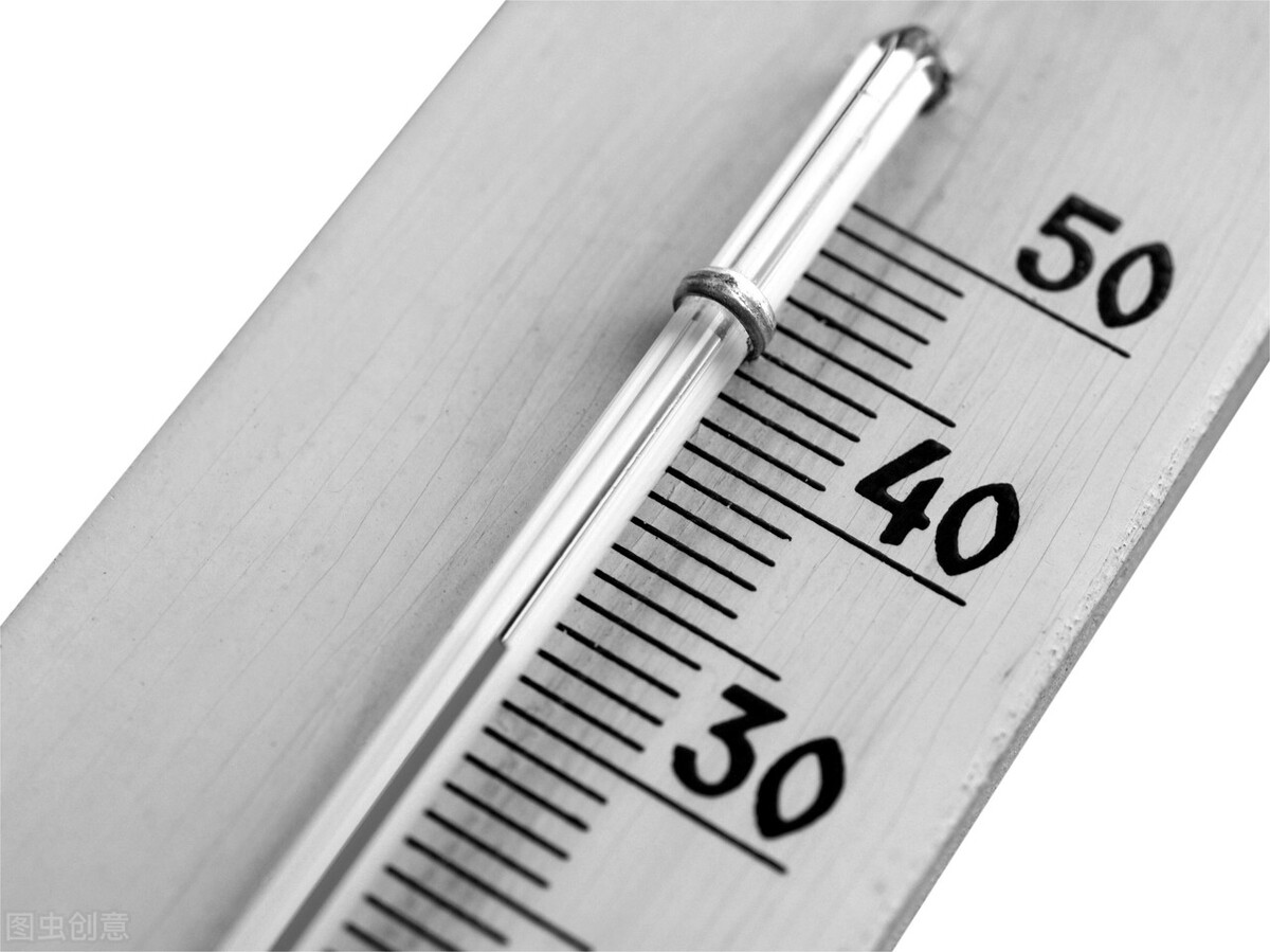 怎样才能养好斑马鱼,如何把斑马鱼和孔雀鱼养好