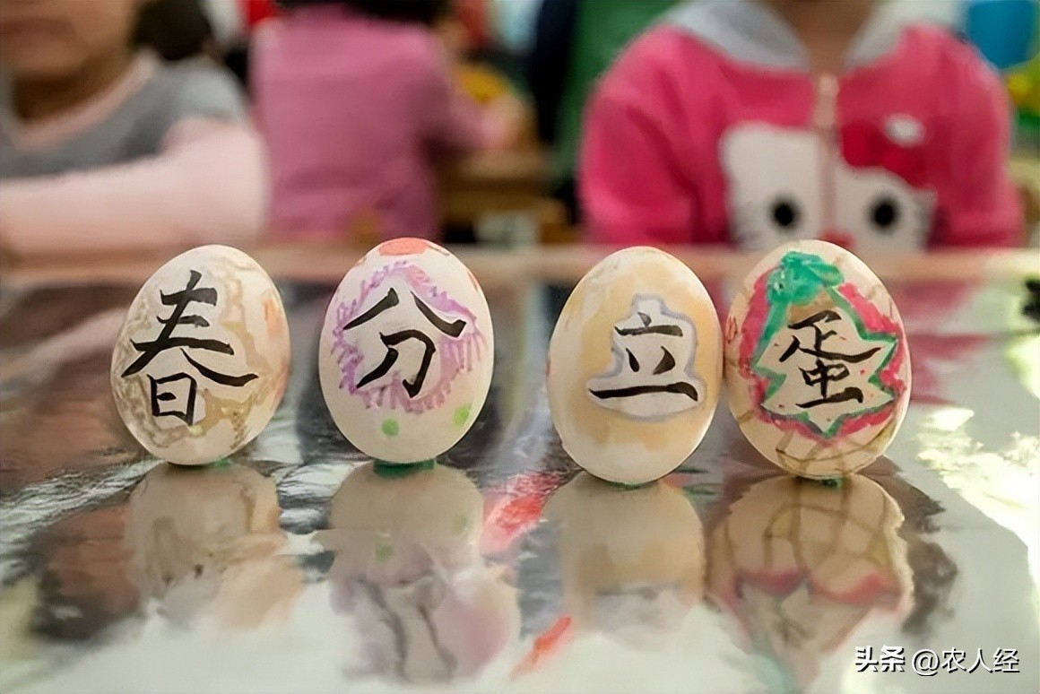 春分节气习俗穿什么颜色的衣服,二十四节气春分习俗视频