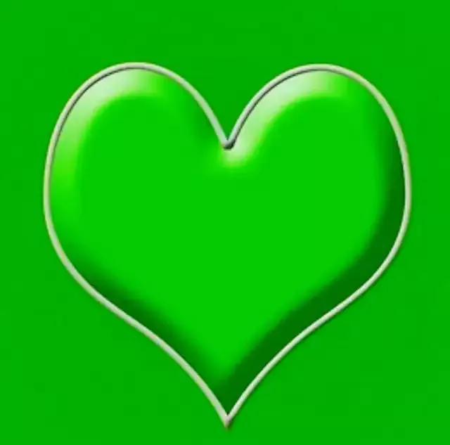 手拿心形图片,心形图片大全