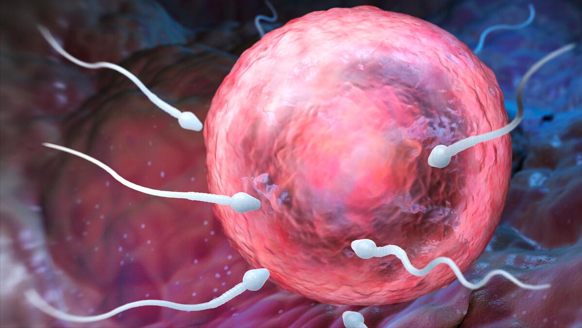 男性长期禁欲，精子“憋而不排”，会憋坏身体吗？男女有必要了解