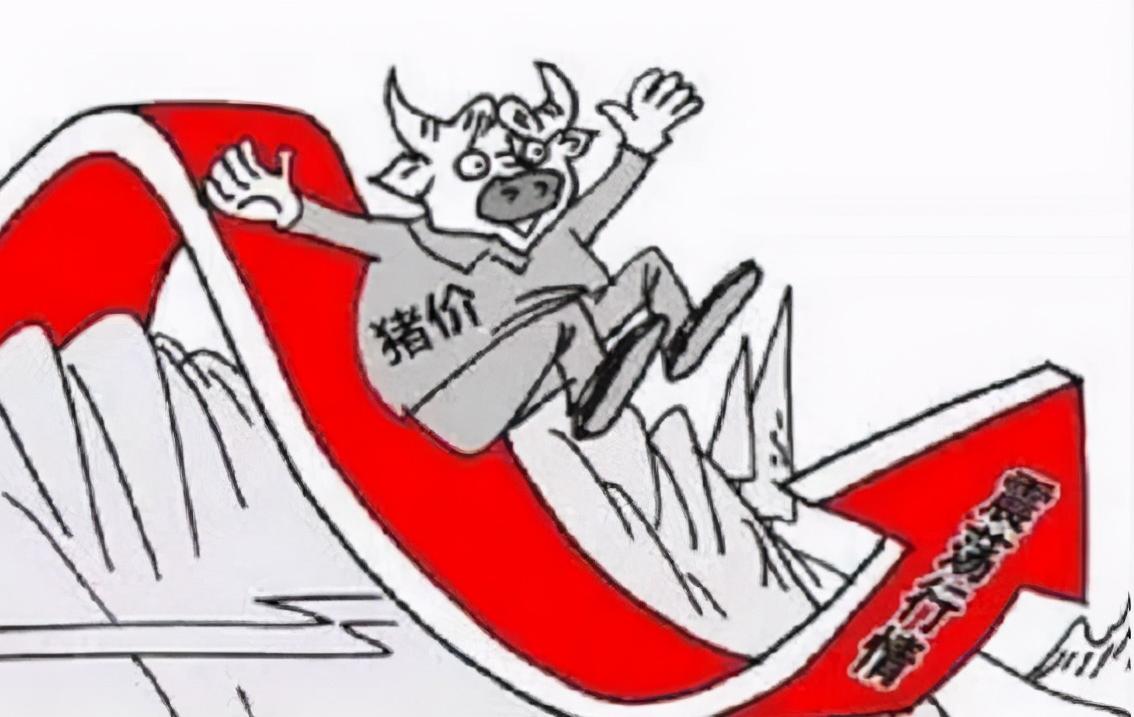 端午节后猪价上涨概率,猪价端午节前是否看涨