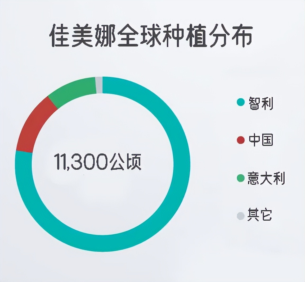 佳美全系列,佳美娜梅洛区别