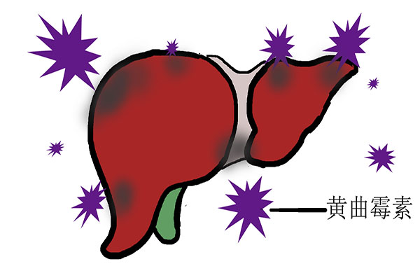 为什么爱喝酒容易得肝癌,俄罗斯人爱喝酒为什么肝癌少