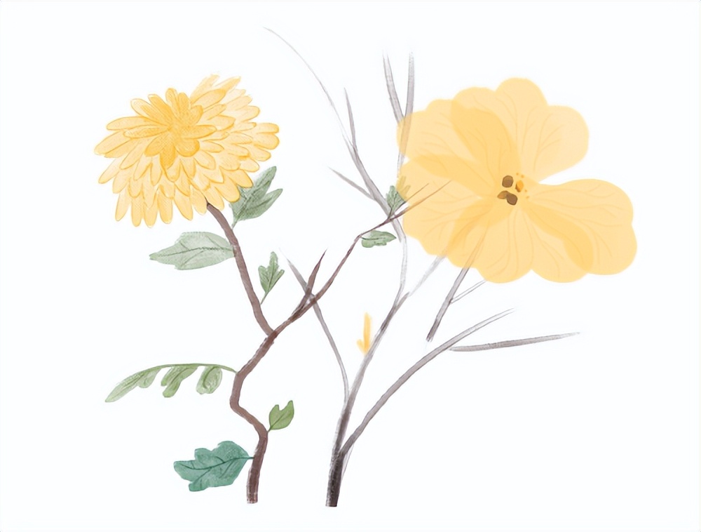 艾灸用大盒还是小盒,艾灸筒好还是艾灸盒好