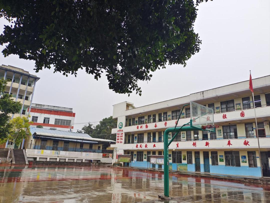 带你走进小学的农村生活,平南县封闭式学校小学