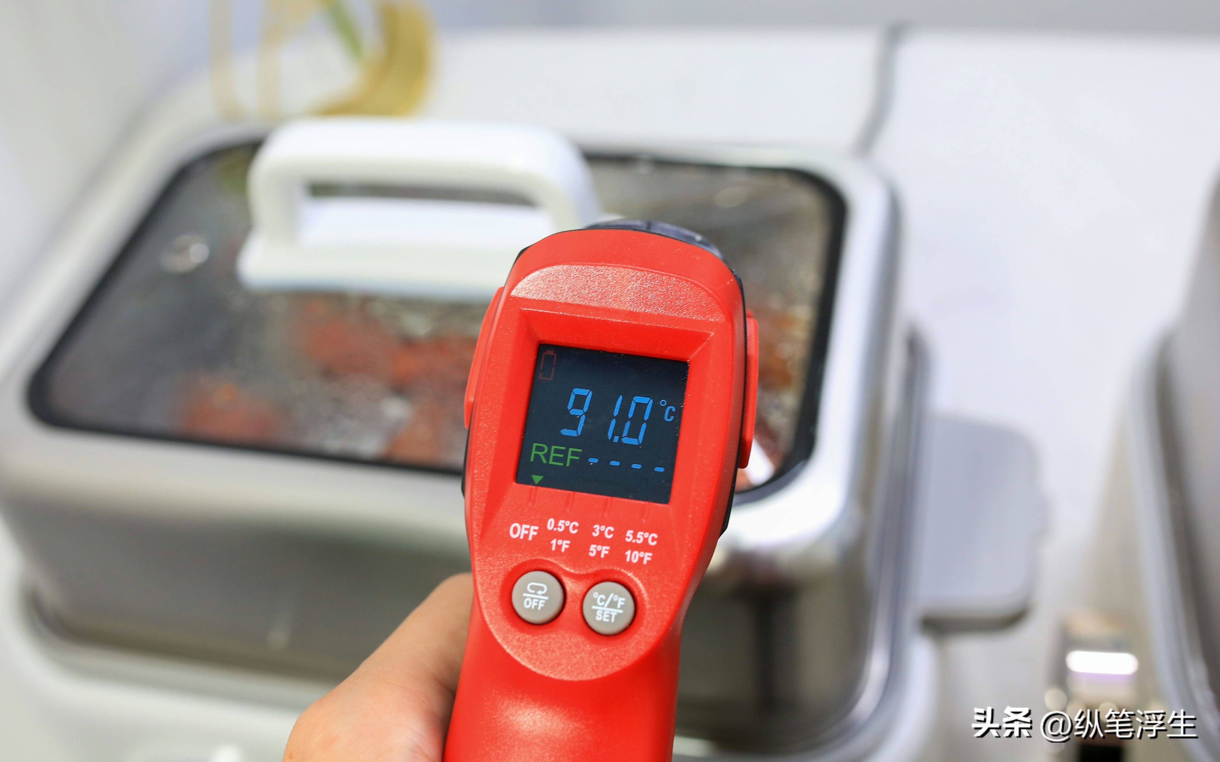 蓝宝电蒸锅对比评测,蓝宝电蒸锅真实测评