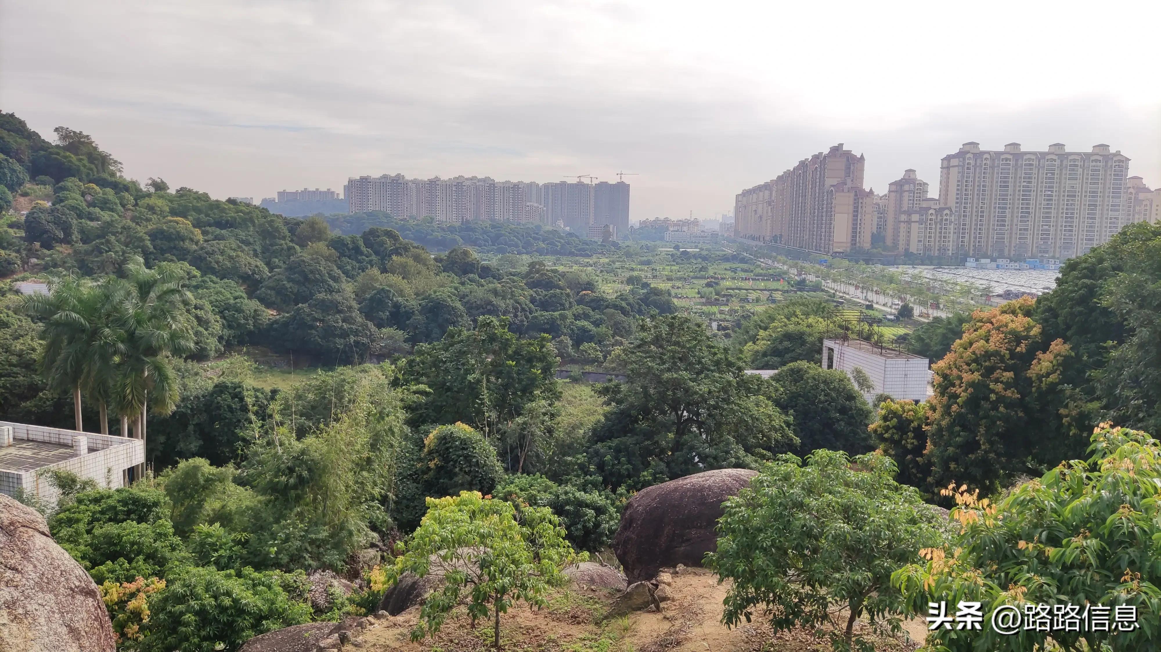 佛穗莞城际陈家林站,穗莞佛城轨陈家林站