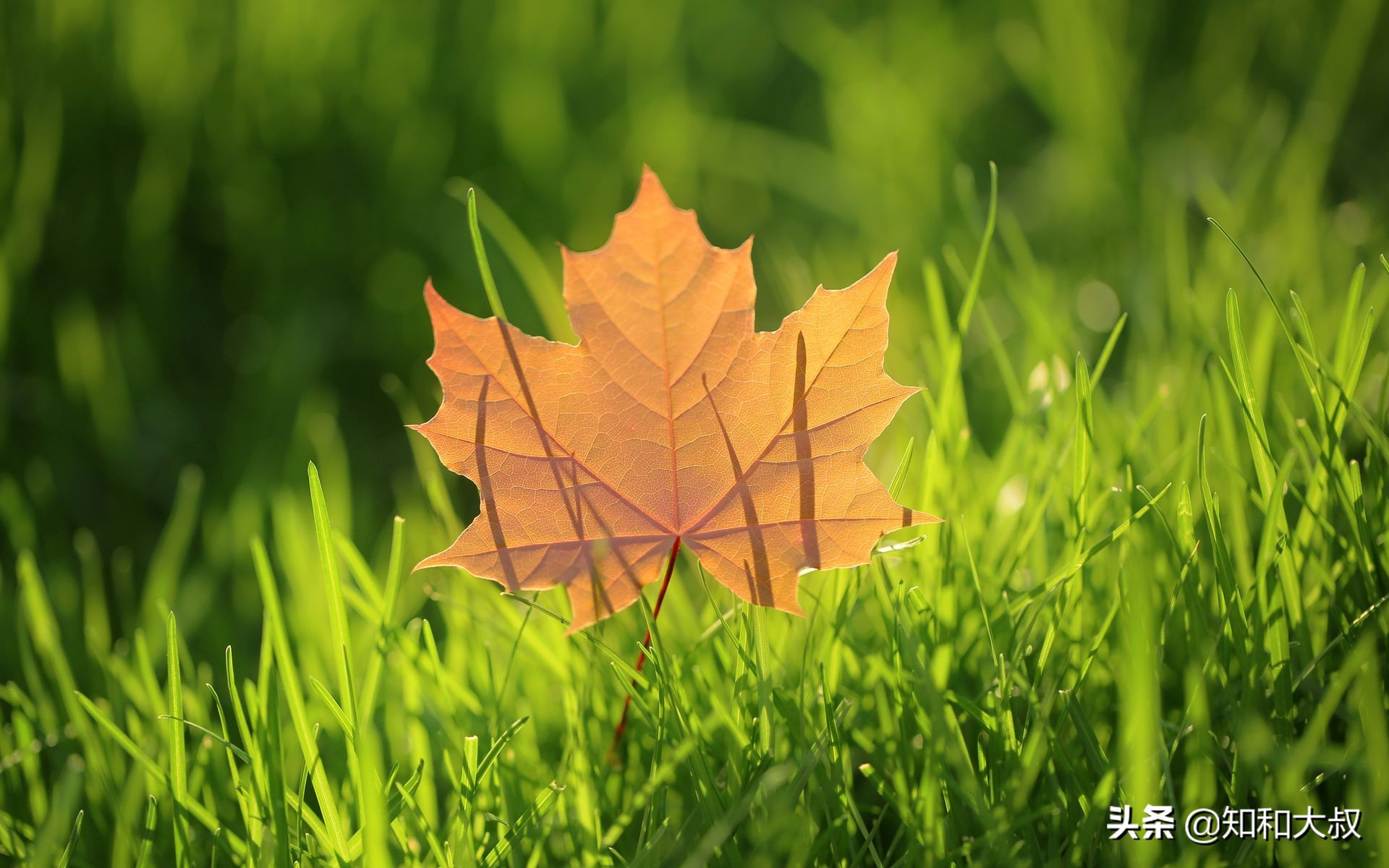 男人对你冷淡了你该怎么做,男人冷落了自己要去讨好他吗