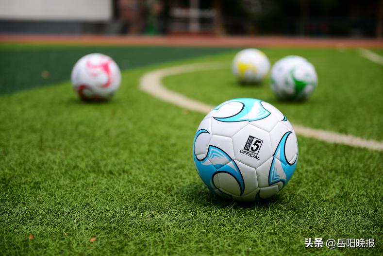 岳阳物业费收费标准,岳阳物业费一览表