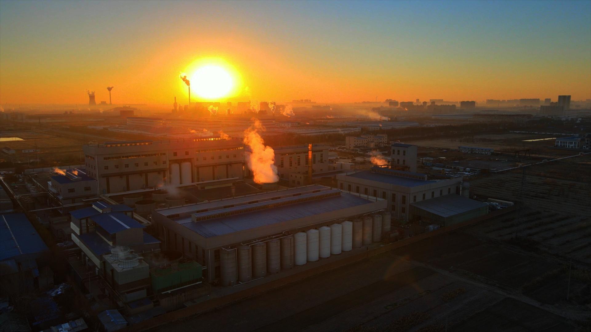 三元生物行业地位,三元正极材料产能过剩