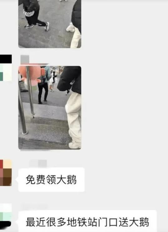 路边扫码领取大白鹅是套路吗,警惕扫码领大鹅