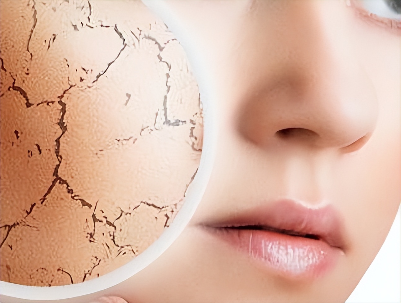 皮肤干吃什么补水效果最好,排毒养肝的中成药有哪些