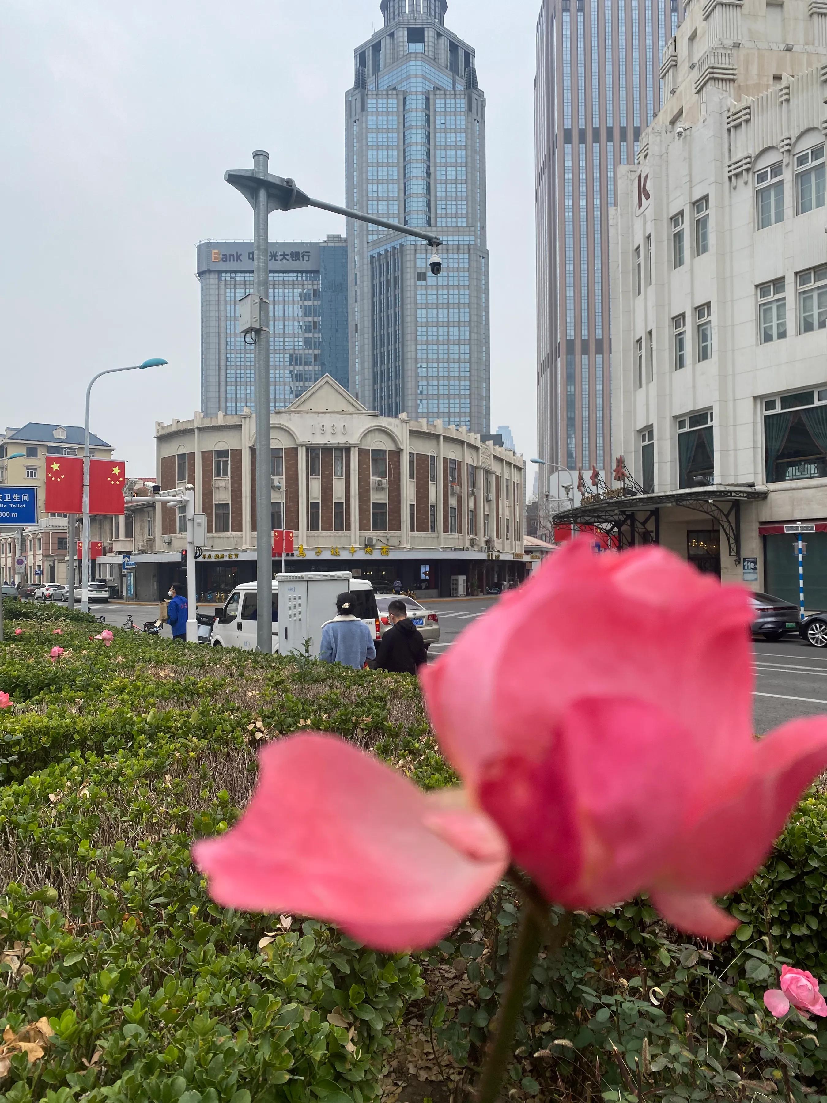 天津小白楼游多久,天津小白楼旅游攻略