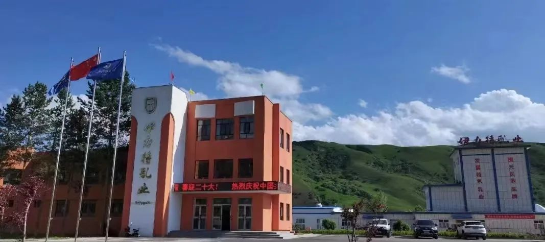 负债400万，起死回生！这家64岁民族企业，如何成为“乳业茅台”