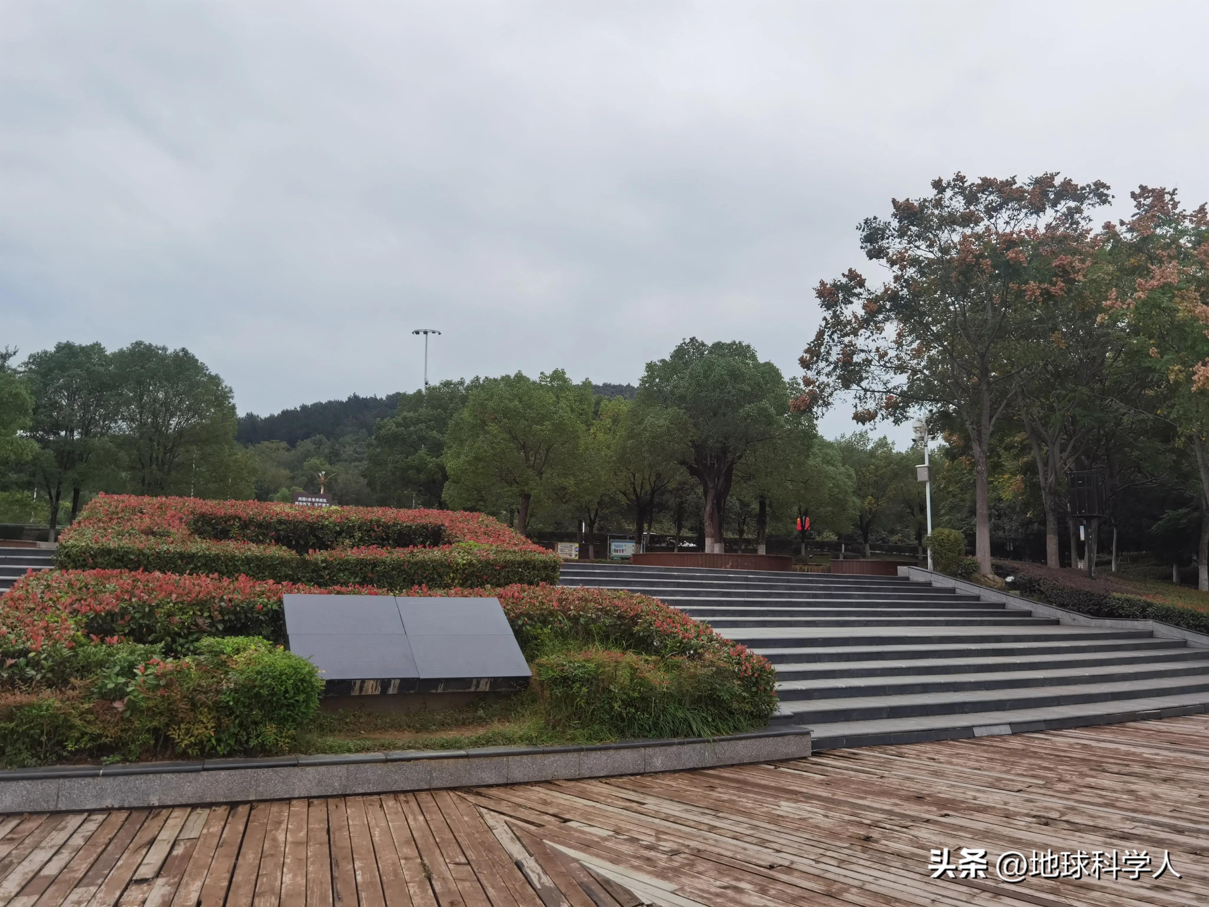 武汉后官湖湿地风景,蔡甸区后官湖国家湿地公园一日游