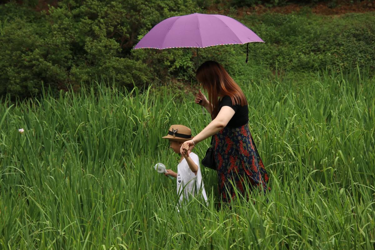 2009年河南一村民走访堂弟，推开门就看见尸体却很淡定：懒死的