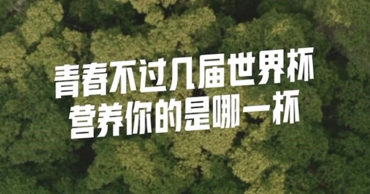 卡塔尔世界杯授权产品品牌,卡塔尔世界杯采用的营销策略