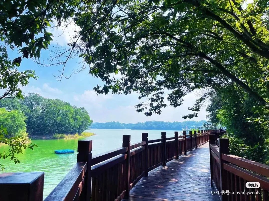 信阳南湾湖一日游详细攻略,信阳三日游攻略