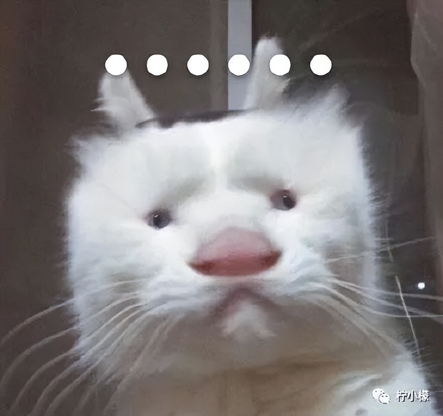 杩欎簺涓紡鑻辨枃鍙笉鑳介殢渚胯,杩欎簺涓紡鑻辫鐪熸槸鍦伴亾鑻辫琛ㄨ揪