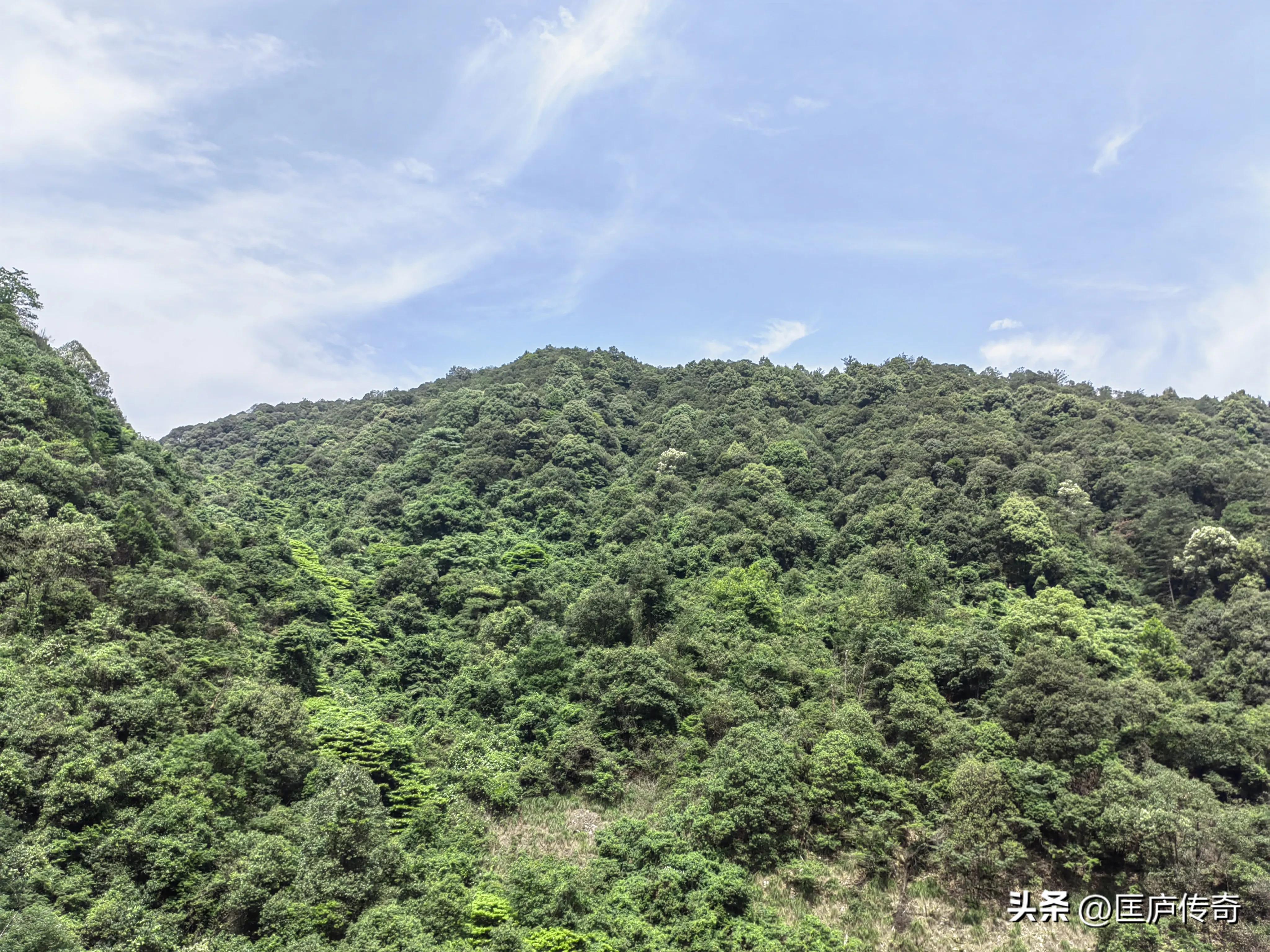 我的日常生活和工作内容,我的日常生活演讲稿小学生