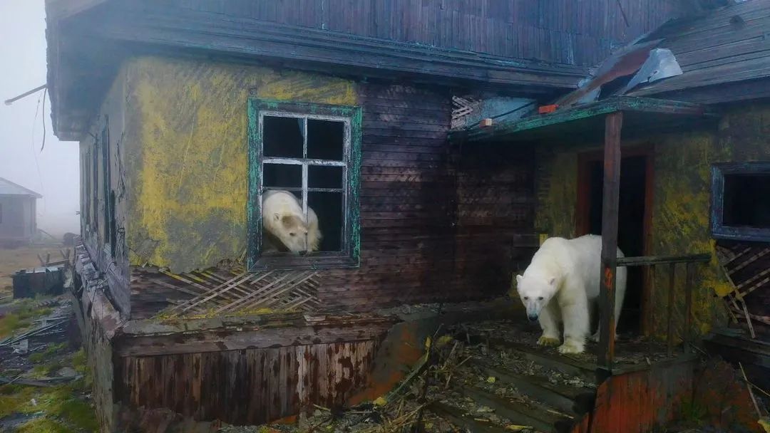 被人们遗忘的神秘废墟,被人类遗忘的25种角落探秘