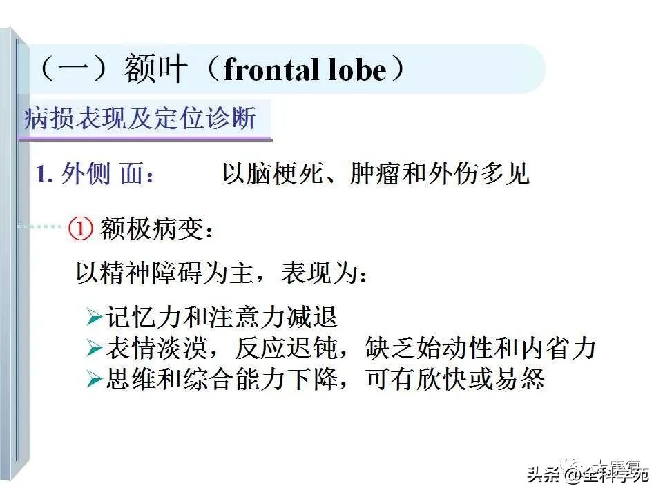 神经系统的影像与解剖定位,最全神经解剖图