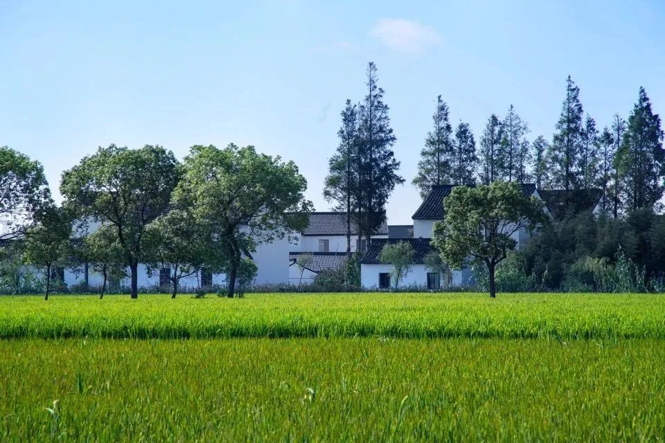 贵州省5起乡村振兴典型案例通报,乡村振兴中可以做哪些景观设计