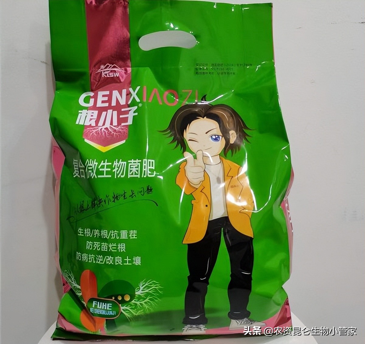 豆角根腐病用什么药来防治最好,豆角根腐病防治