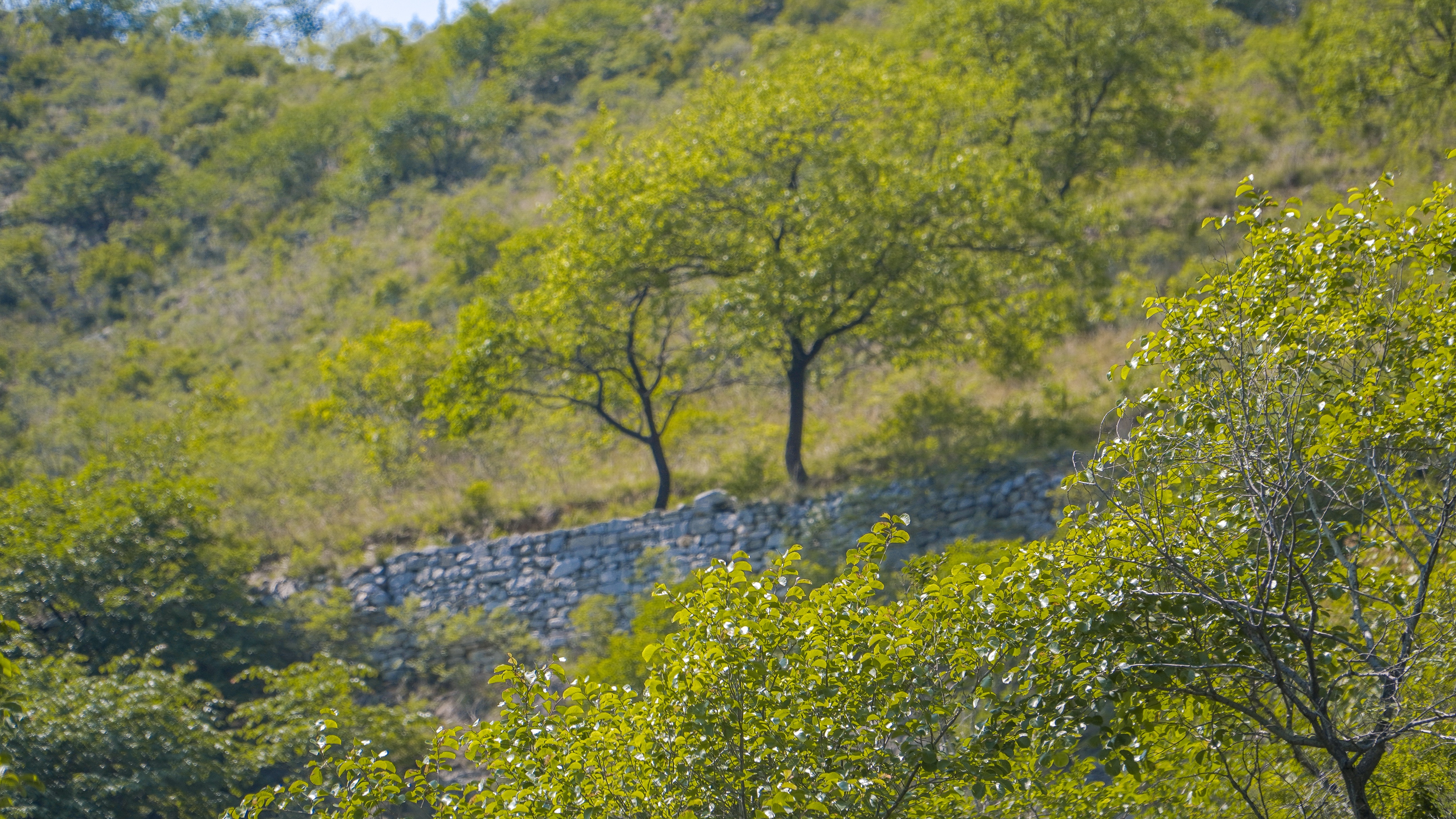 青州黄花溪介绍,推荐一个好地方青州黄花溪
