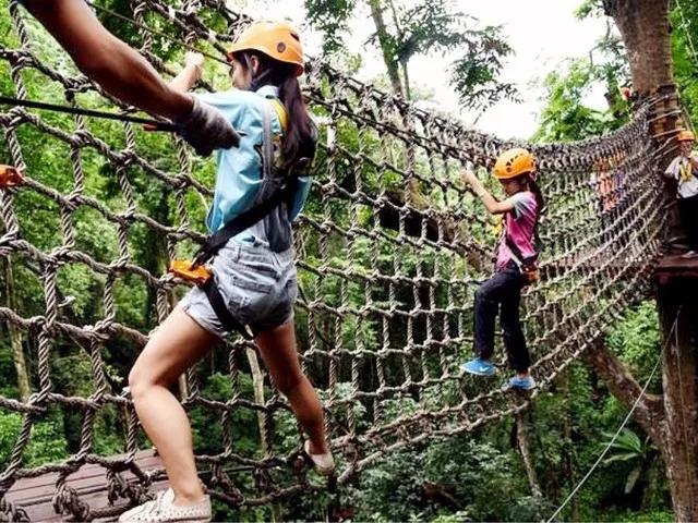 云南西双版纳旅游攻略app,云南西双版纳旅游攻略自由行12月