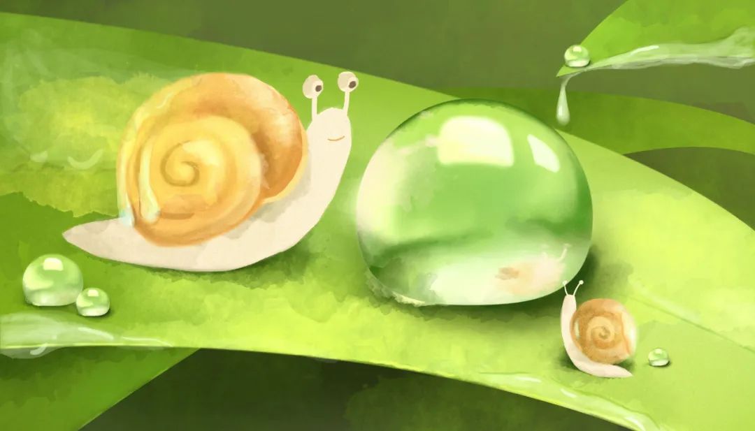 会生气的蜗牛,蜗牛吵架