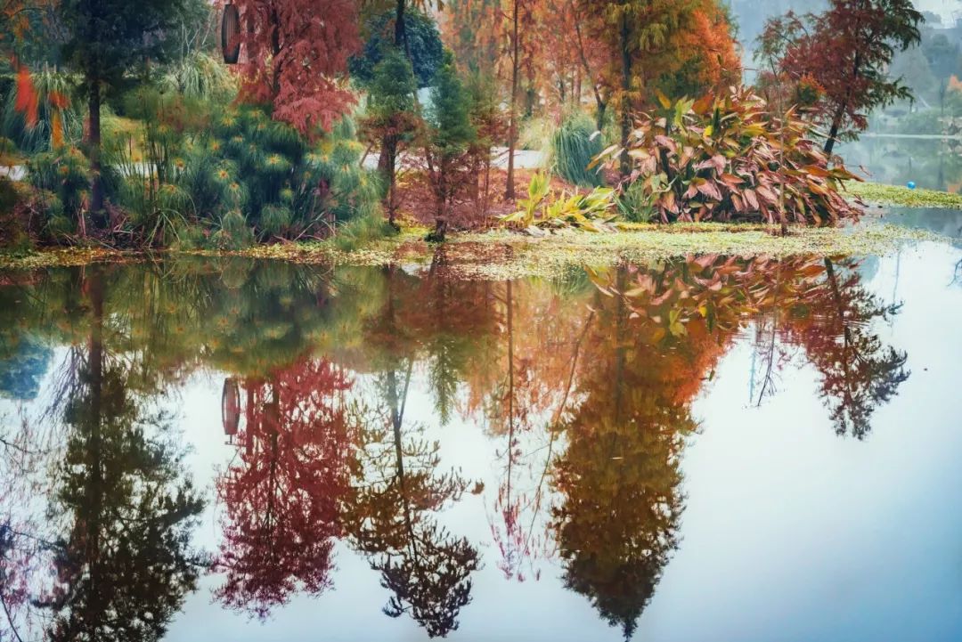 你几月出生就代表了你是什么命,几月出生的人是水命