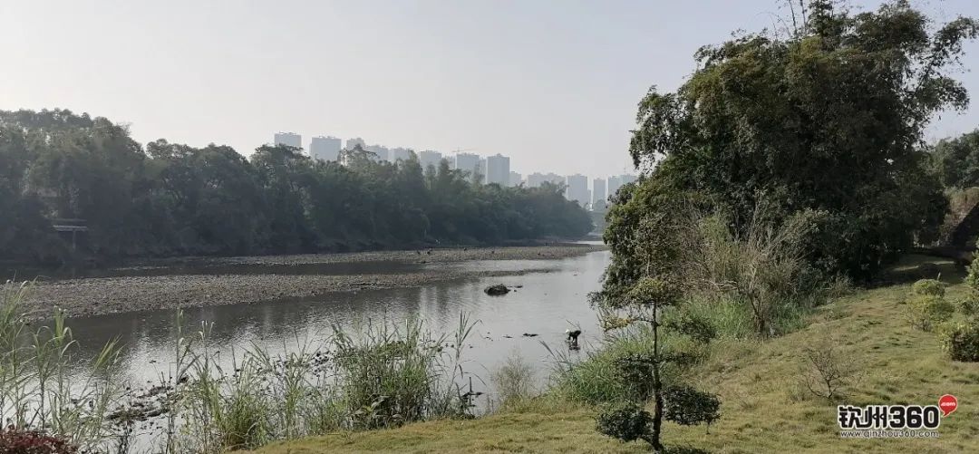 热议！大运河钦州青年水闸枢纽即将动工，网友：趁现在多看几眼吧