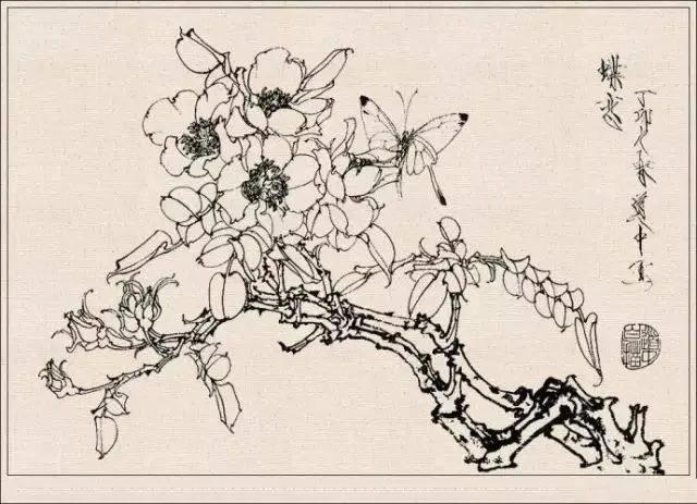 工笔草虫白描王道中,写意花鸟画草虫绘画过程分享