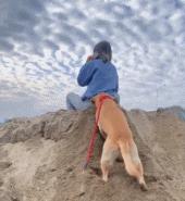 开幼儿园赔钱怎么经营,开幼儿园的十大忠告