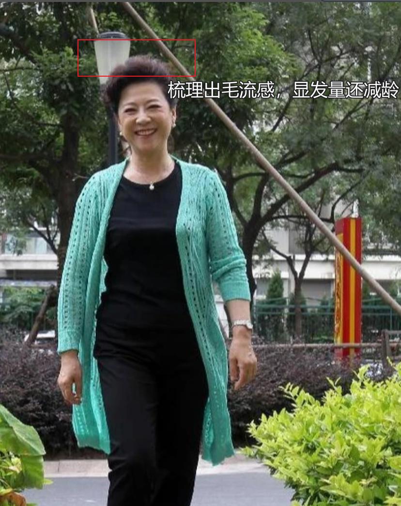 73岁的王馥荔真正优雅到老,王馥荔老年穿搭图片