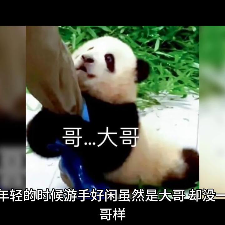 怎么治嘴贱的朋友,怎么对付那些嘴贱的亲戚