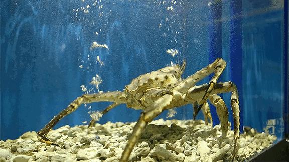 福州特色购物攻略,福州值得逛的商店