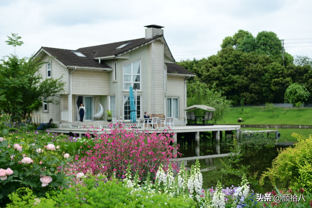 冬天开花的室外花卉盆栽,温室盆栽观花花卉植物