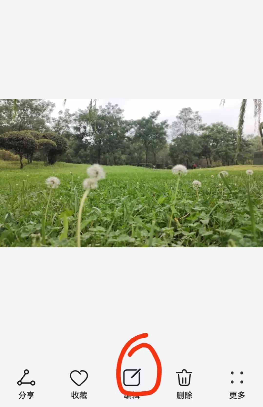 怎样制作问候图片,祝福语手工制作简单又漂亮