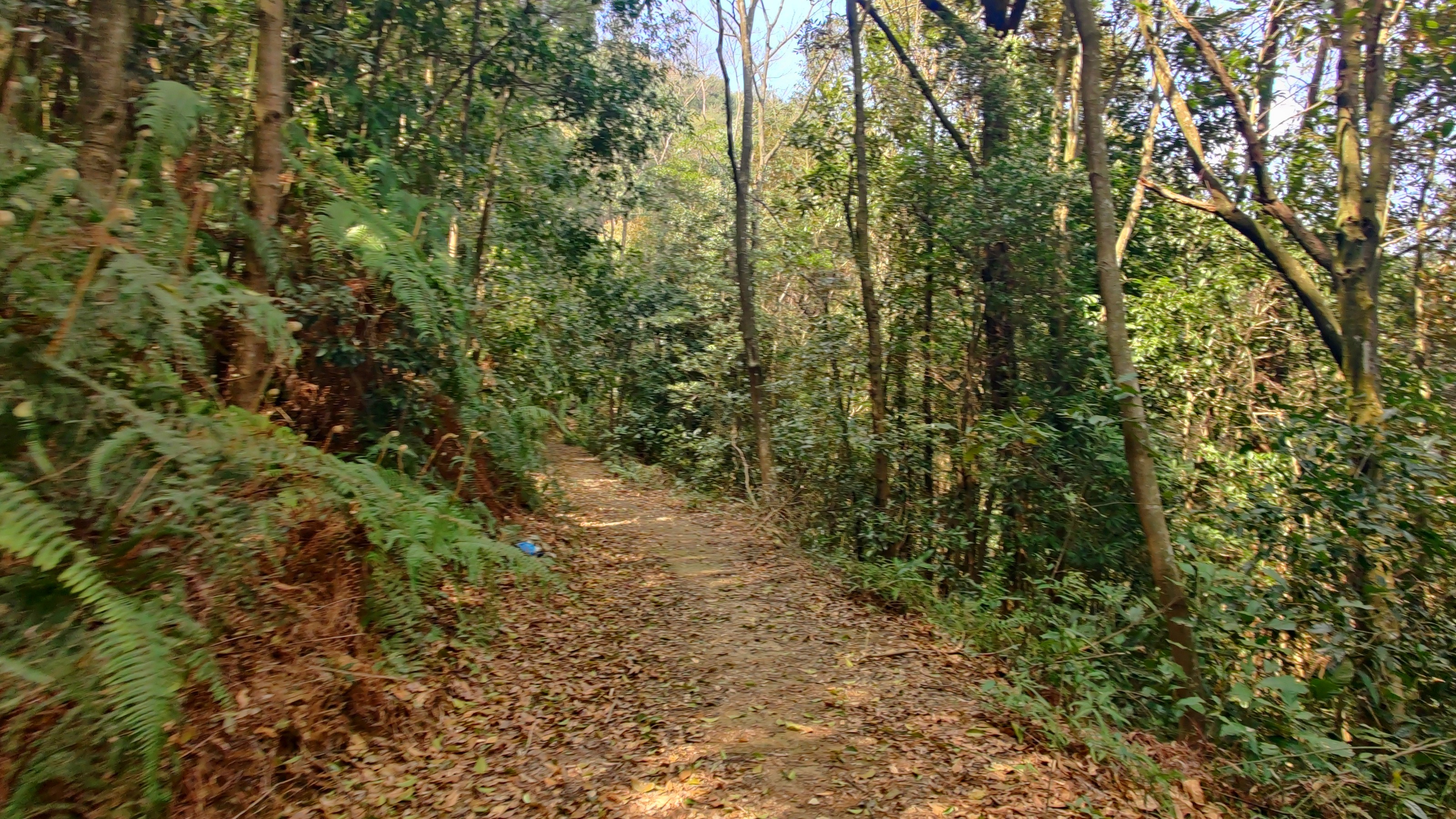 徒步三叠井森林公园，拥抱采兰溪，走进大自然