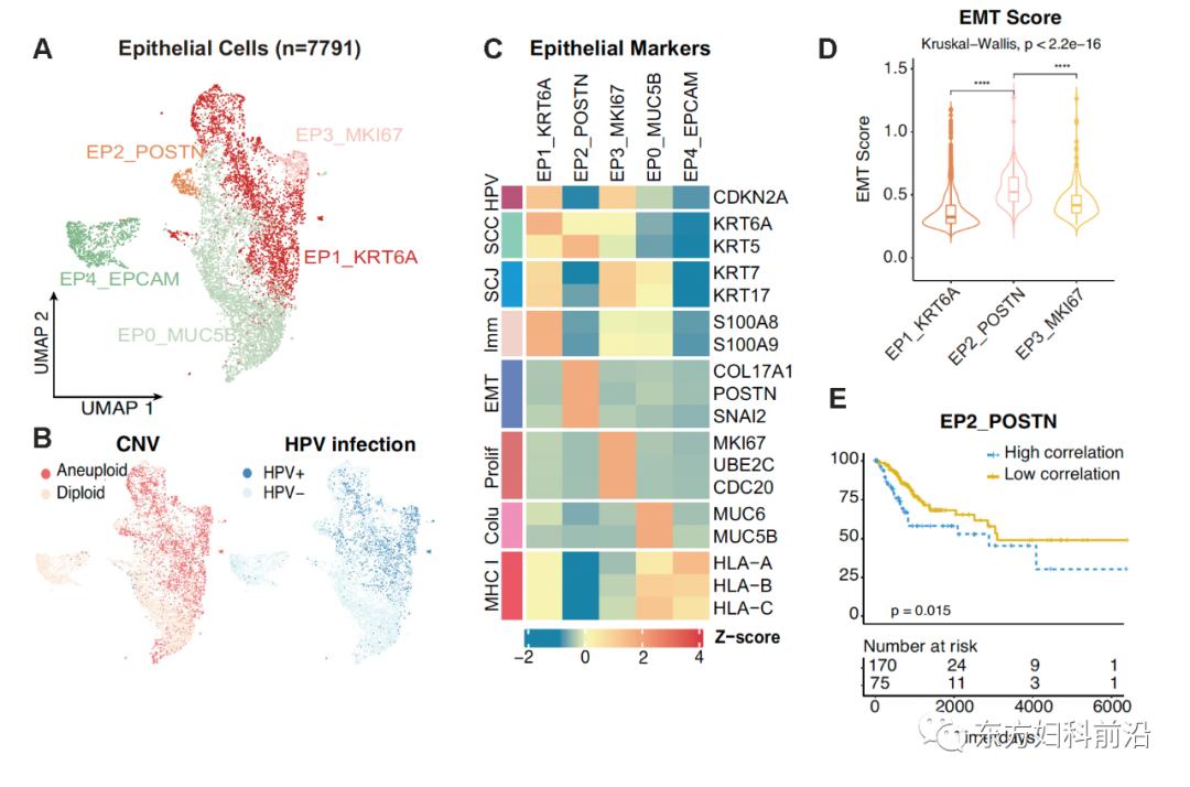 科研进展|北院妇科课题组在EMBOJ发表高水平文章