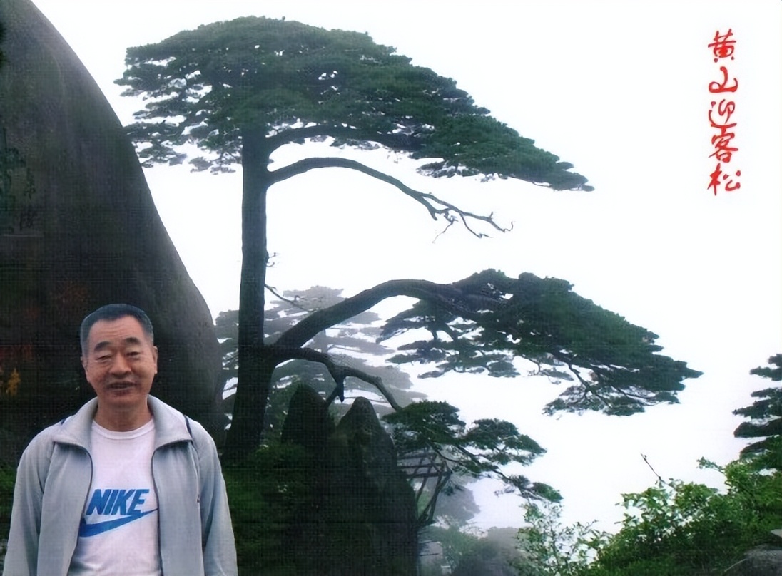 石宝珍最近的消息,石宝珍资料